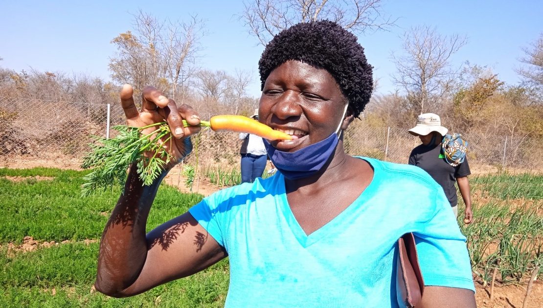 kurima ishungu